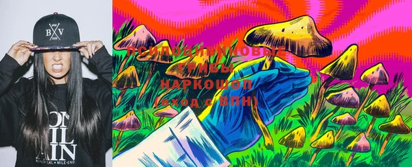 mdpv Арсеньев