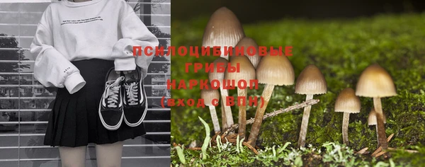 mdpv Арсеньев